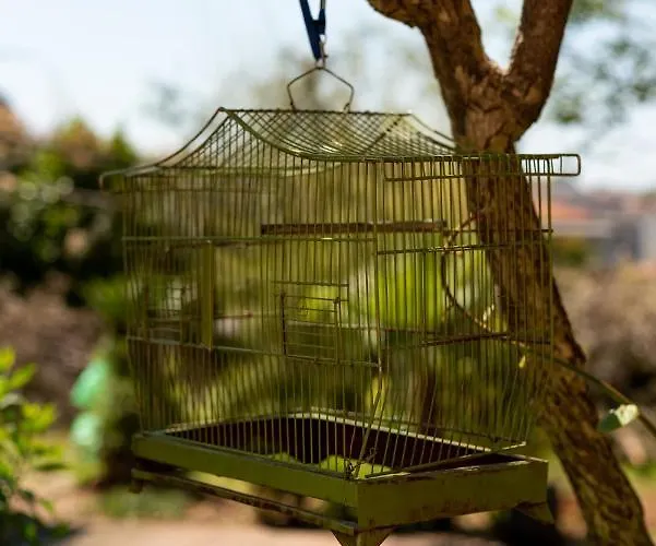 Anna 2 Apartment Pula