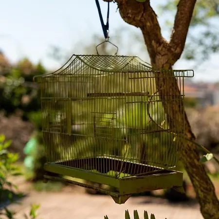 Anna 2 Апартаменти Пула